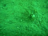 M0011484.JPG