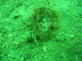 M0011486.JPG