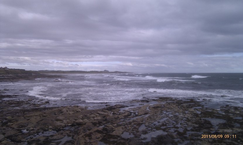 IMAG0729