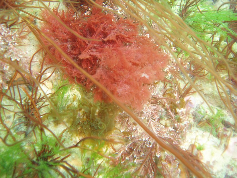P8044455