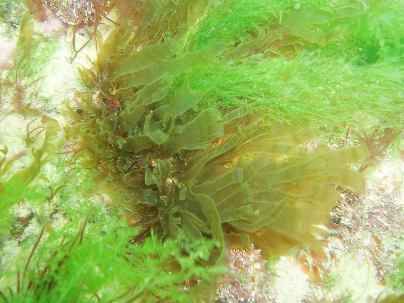 P8044456