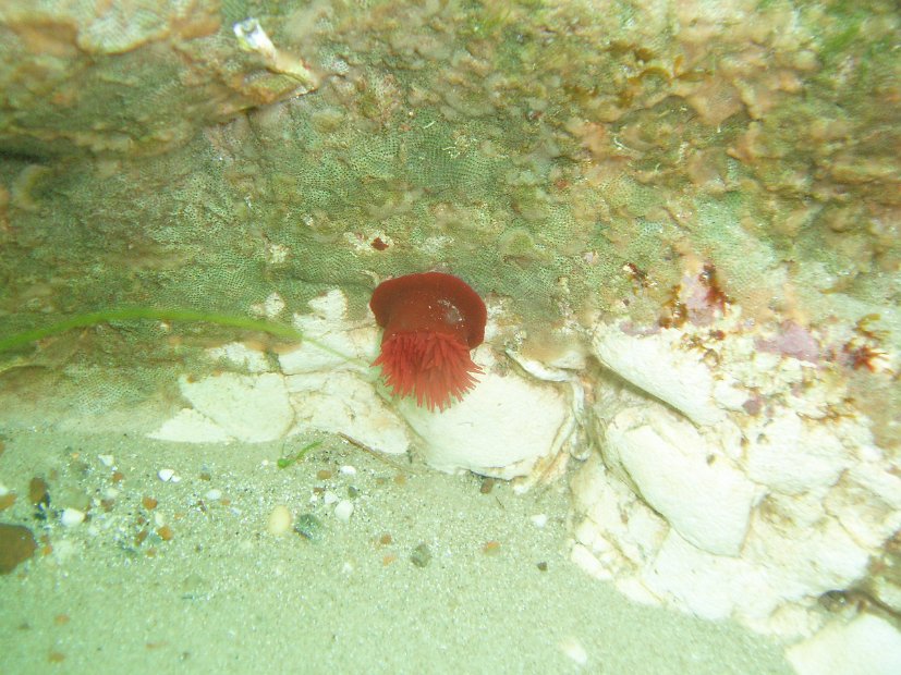 P8044461