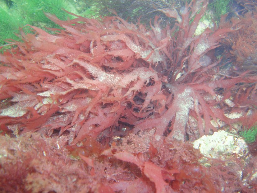 P8044500