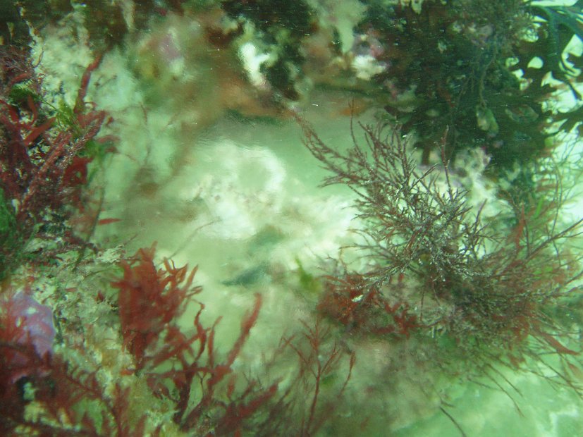 P8044522