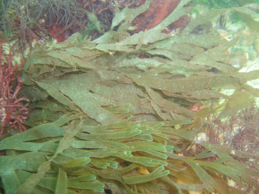P8044524