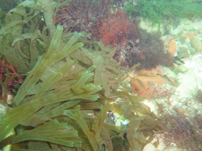 P8044526