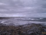 IMAG0729.jpg