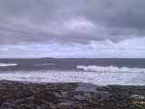 IMAG0730.jpg