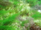 P8044454.JPG