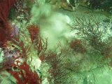 P8044521.JPG
