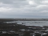 P8104733.JPG