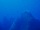 Shoals of cardinalfish at Reqqa Point