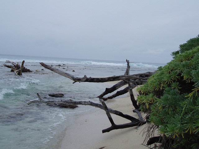 Beach on Hunting Caye, Sapodilla Marine Reserve, Belize